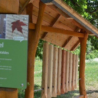 Klangspiel im Weltwald Bad Grund